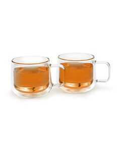 Double walled glass Merano 290 ml s/2