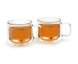 Double walled glass Merano 290 ml s/2