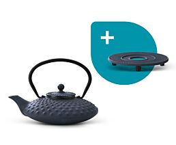 Teapot Xilin 0.8L cast iron blue