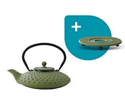 Teapot Xilin 0.8L cast iron green